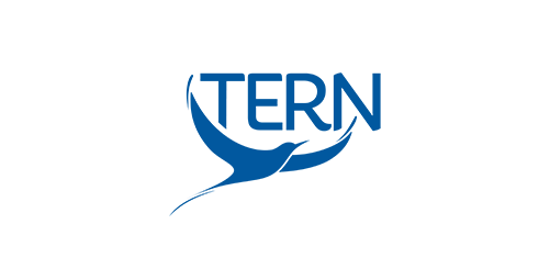 TERN